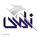 رسام پلیمر نامی